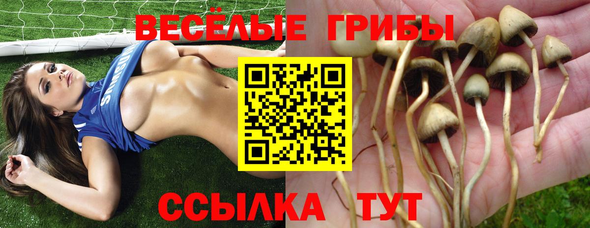 Псилоцибиновые грибы прущие грибы  Псилоцибиновые грибы ЛСД  Топки  Вход с VPN 